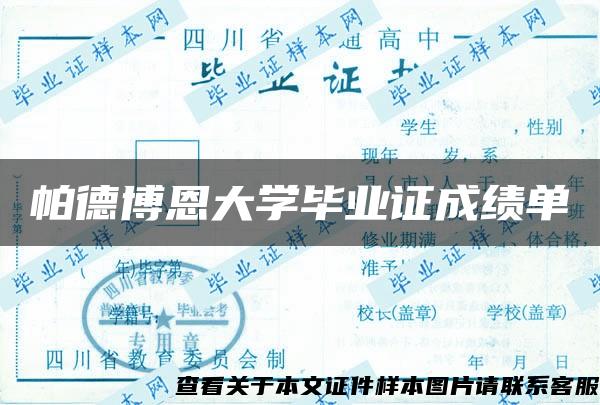 帕德博恩大学毕业证成绩单