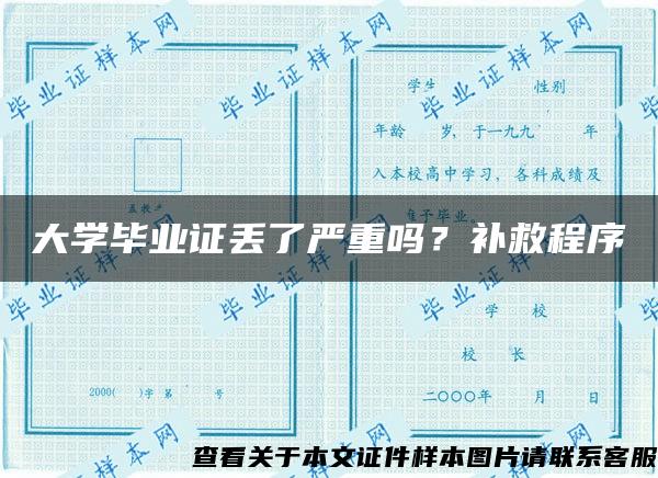 大学毕业证丢了严重吗？补救程序