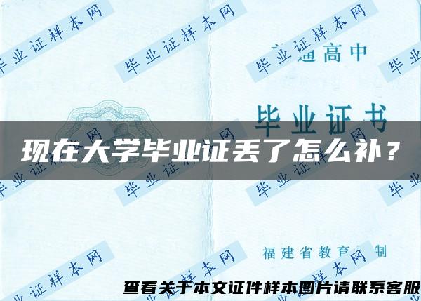 现在大学毕业证丢了怎么补？