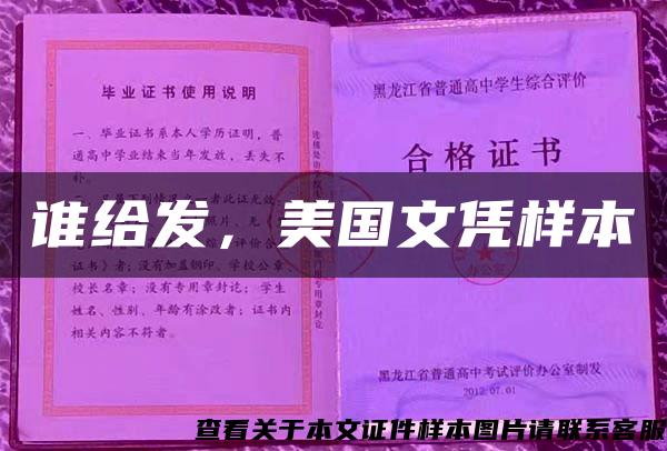 谁给发，美国文凭样本