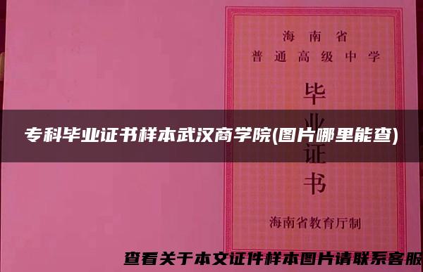 专科毕业证书样本武汉商学院(图片哪里能查)