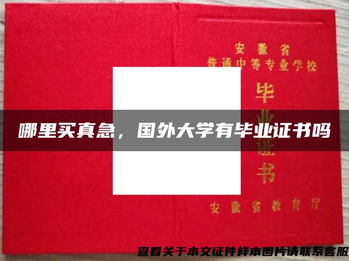 哪里买真急，国外大学有毕业证书吗