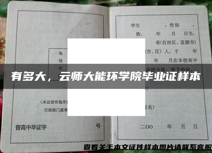 有多大，云师大能环学院毕业证样本