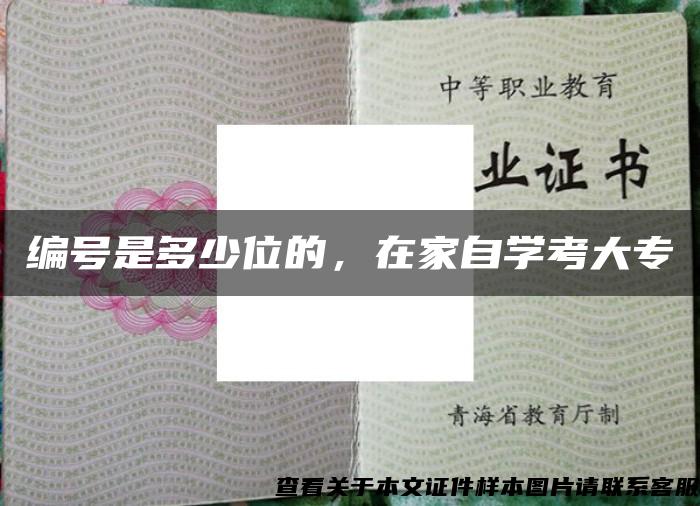 编号是多少位的，在家自学考大专