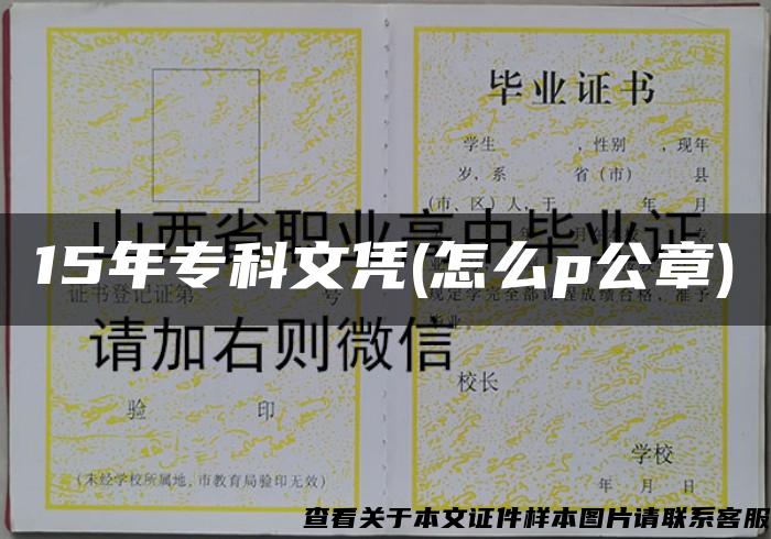 15年专科文凭(怎么p公章)