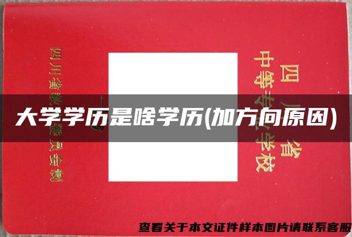 大学学历是啥学历(加方向原因)