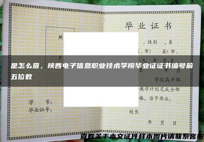 是怎么查，陕西电子信息职业技术学院毕业证证书编号前五位数