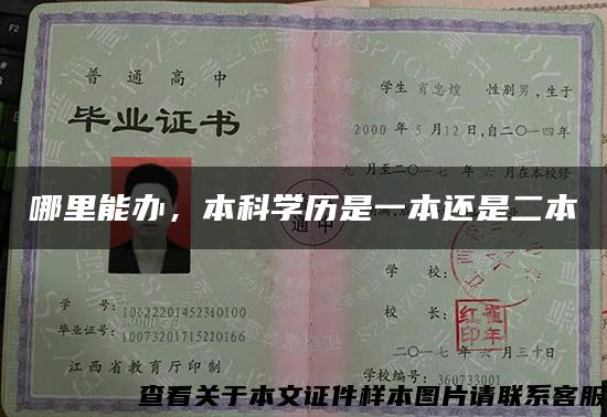 哪里能办，本科学历是一本还是二本