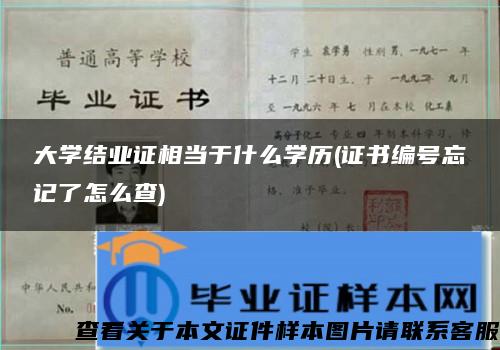 大学结业证相当于什么学历(证书编号忘记了怎么查)