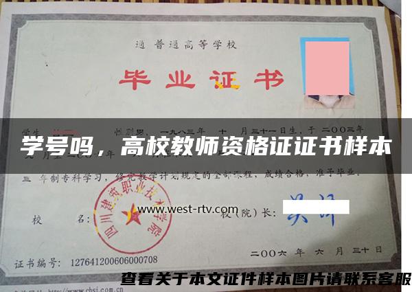 学号吗，高校教师资格证证书样本