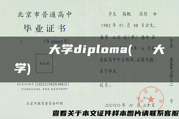 ものつくり大学diploma(ケルン大学)