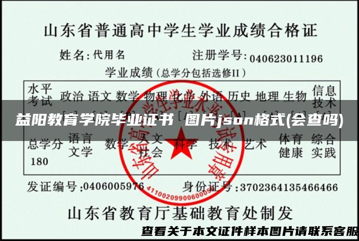 益阳教育学院毕业证书 图片json格式(会查吗)