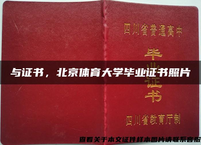 与证书，北京体育大学毕业证书照片