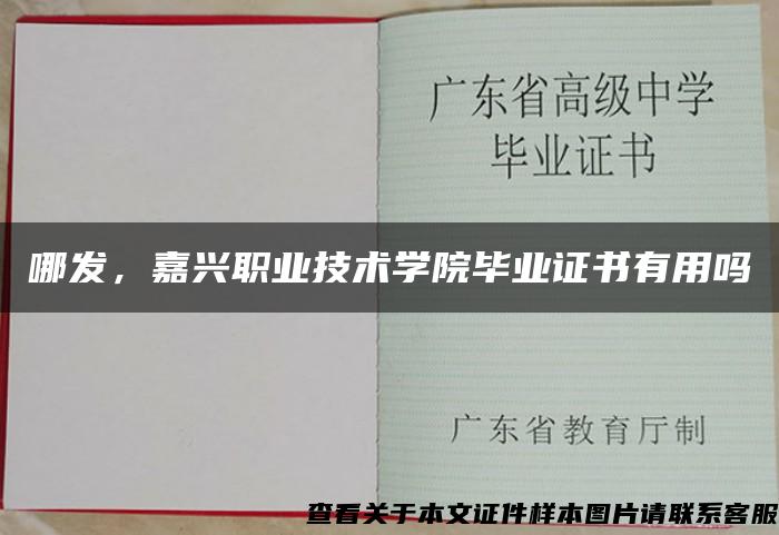 哪发，嘉兴职业技术学院毕业证书有用吗