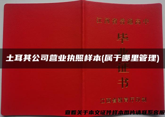 土耳其公司营业执照样本(属于哪里管理)