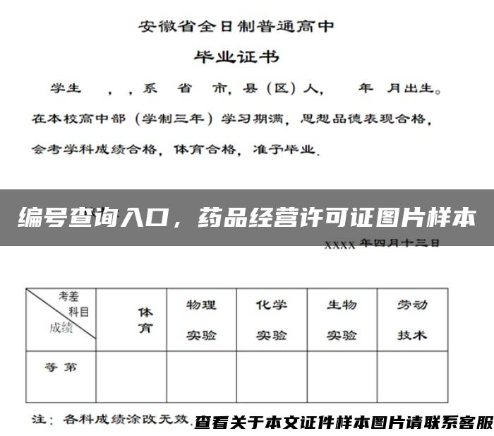 编号查询入口，药品经营许可证图片样本