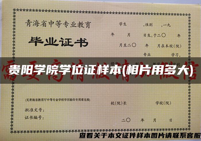 贵阳学院学位证样本(相片用多大)