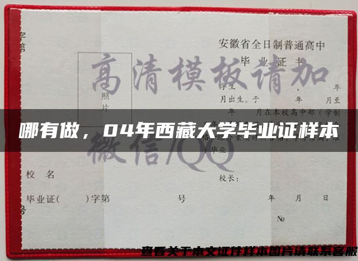 哪有做，04年西藏大学毕业证样本