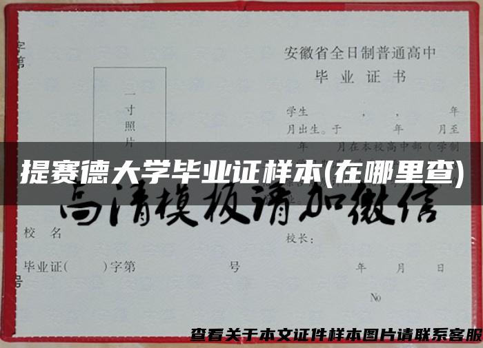 提赛德大学毕业证样本(在哪里查)