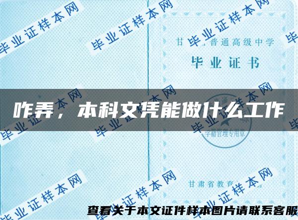 咋弄，本科文凭能做什么工作