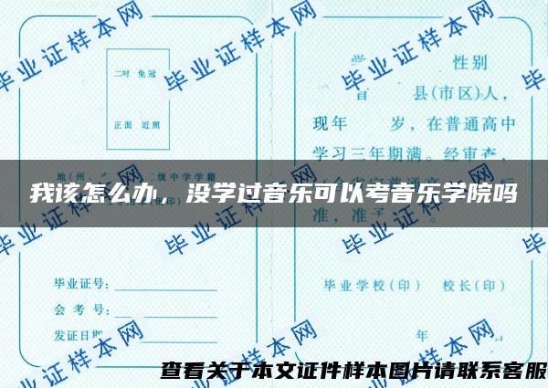 我该怎么办，没学过音乐可以考音乐学院吗