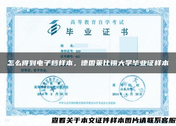 怎么得到电子档样本，德国莱比锡大学毕业证样本