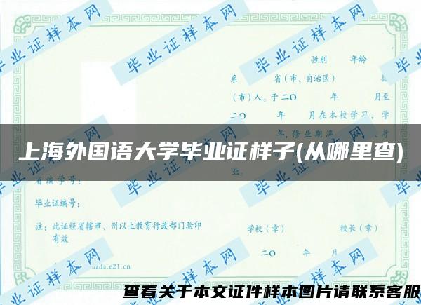 上海外国语大学毕业证样子(从哪里查)