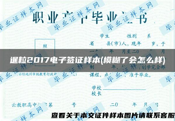 暹粒2017电子签证样本(模糊了会怎么样)