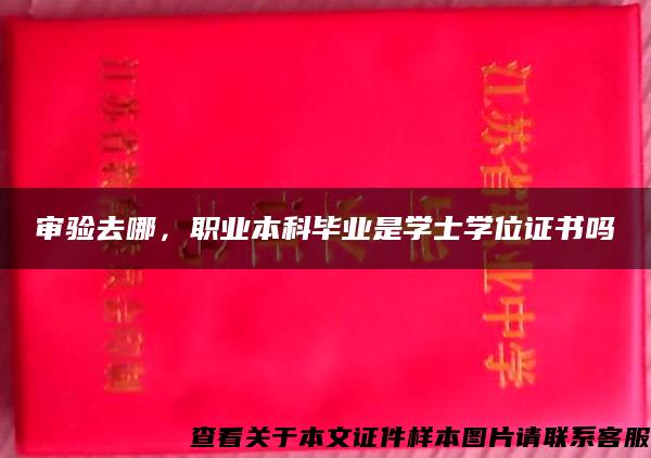 审验去哪，职业本科毕业是学士学位证书吗