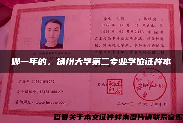 哪一年的，扬州大学第二专业学位证样本