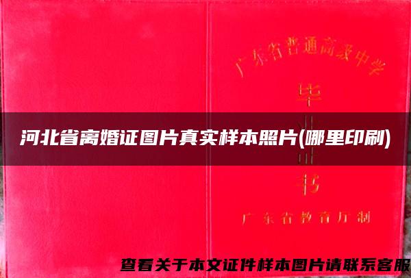 河北省离婚证图片真实样本照片(哪里印刷)