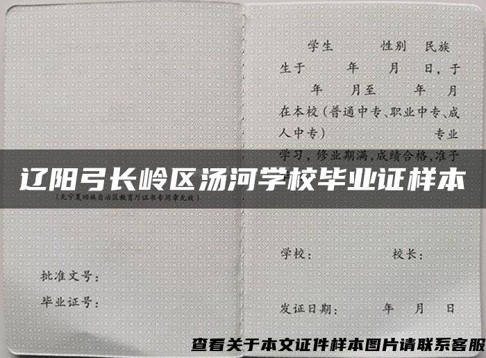 辽阳弓长岭区汤河学校毕业证样本