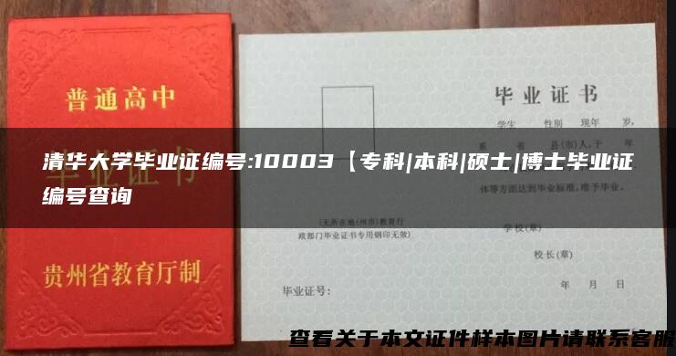 清华大学毕业证编号:10003【专科|本科|硕士|博士毕业证编号查询