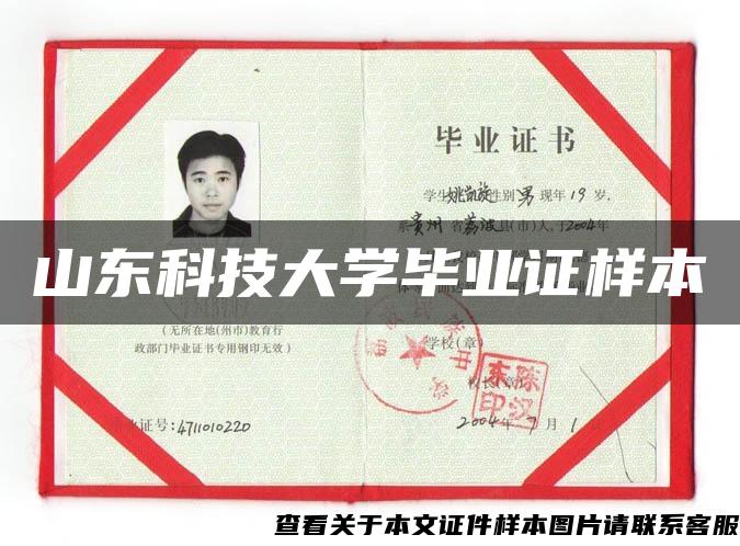 山东科技大学毕业证样本