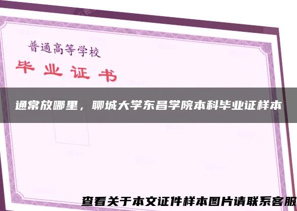 通常放哪里，聊城大学东昌学院本科毕业证样本