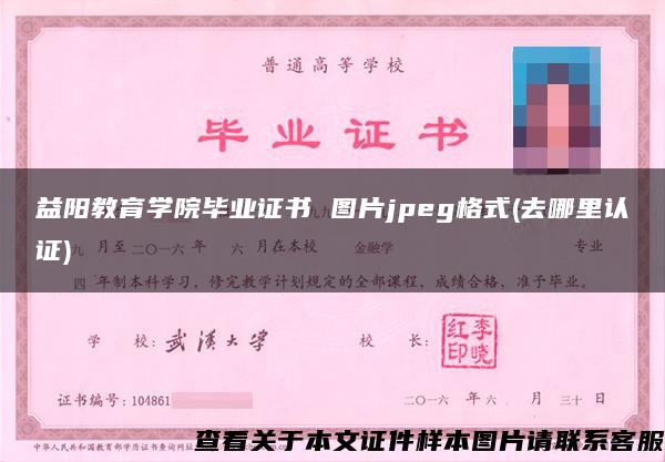 益阳教育学院毕业证书 图片jpeg格式(去哪里认证)