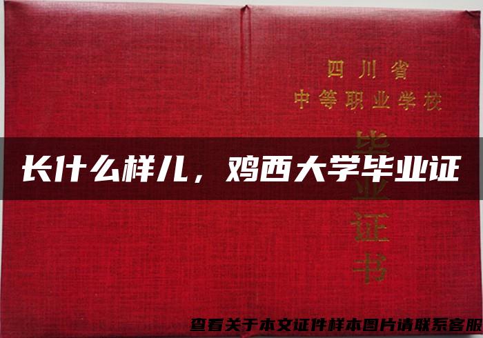 长什么样儿，鸡西大学毕业证