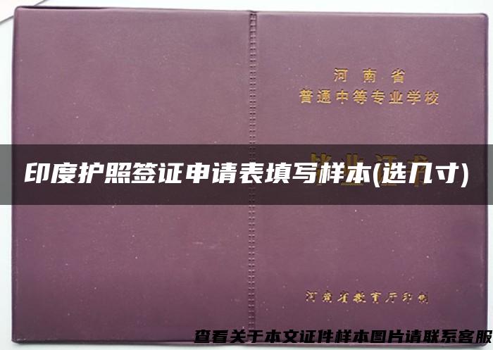 印度护照签证申请表填写样本(选几寸)