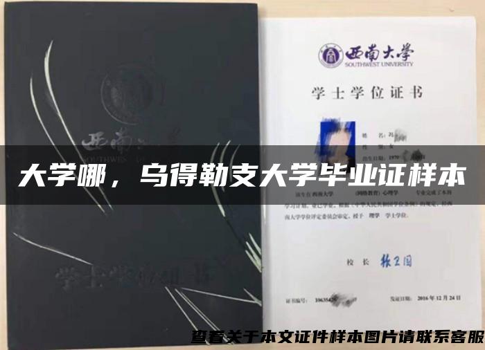 大学哪，乌得勒支大学毕业证样本