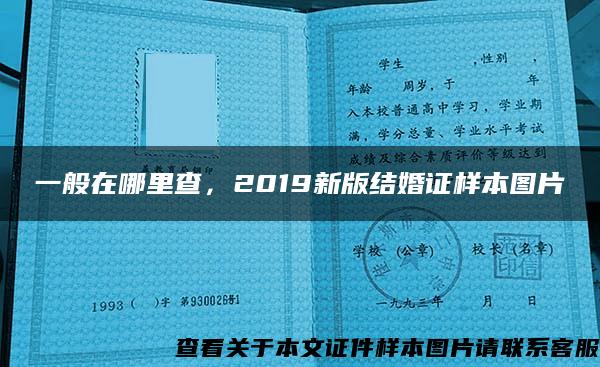 一般在哪里查，2019新版结婚证样本图片