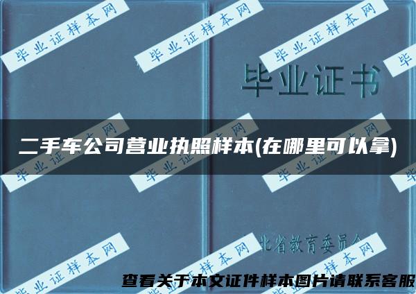 二手车公司营业执照样本(在哪里可以拿)