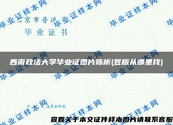 西南政法大学毕业证图片陈彬(竖版从哪里找)