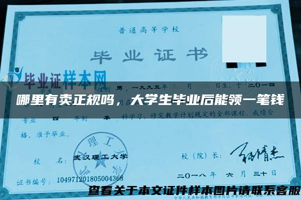 哪里有卖正规吗，大学生毕业后能领一笔钱