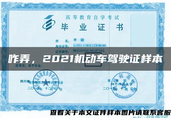 咋弄，2021机动车驾驶证样本