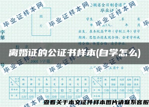 离婚证的公证书样本(自学怎么)