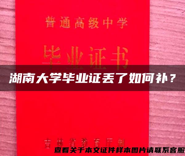 湖南大学毕业证丢了如何补？