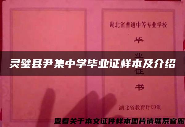 灵璧县尹集中学毕业证样本及介绍