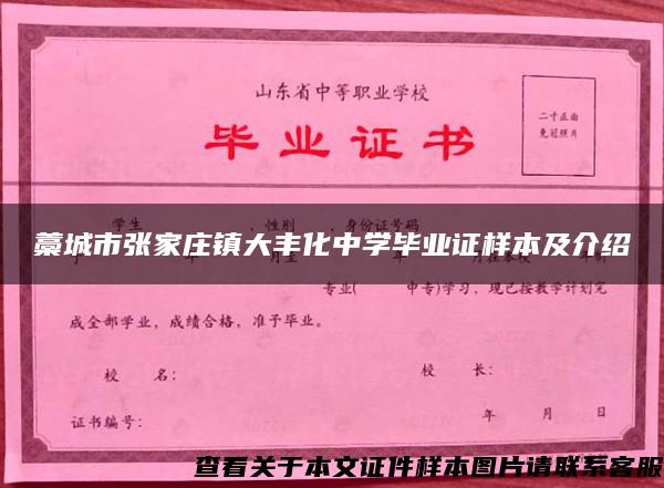 藁城市张家庄镇大丰化中学毕业证样本及介绍