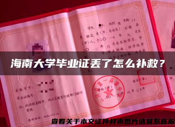 海南大学毕业证丢了怎么补救？