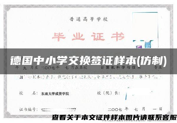 德国中小学交换签证样本(仿制)